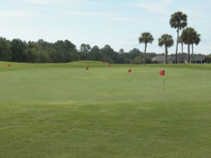 royal-st-augustine-practice-green