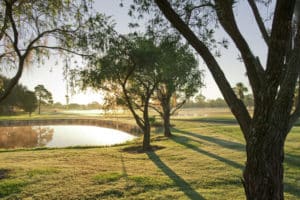 florida-golf-school-Plantation-Golf-&-Country-Club-golfing